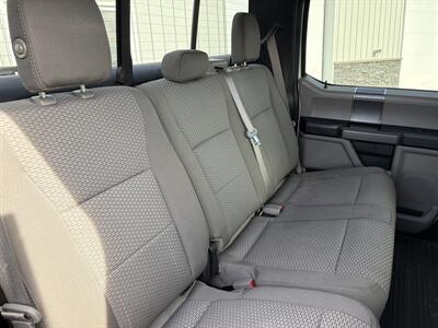 2019 Ford F-150 XLT  XTR - Photo 16 - Clarenville, NL A5A 2C4