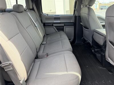 2019 Ford F-150 XLT  XTR - Photo 15 - Clarenville, NL A5A 2C4
