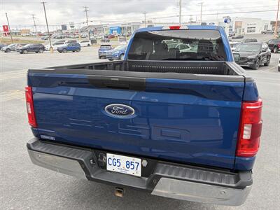 2023 Ford F-150 XLT   - Photo 13 - Clarenville, NL A5A 2C4