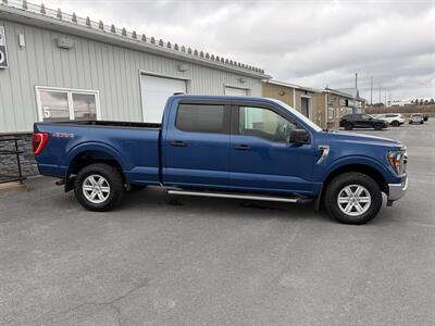 2023 Ford F-150 XLT   - Photo 3 - Clarenville, NL A5A 2C4