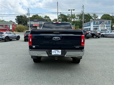 2021 Ford F-150 XLT   - Photo 6 - St John's, NL A1B 1C2