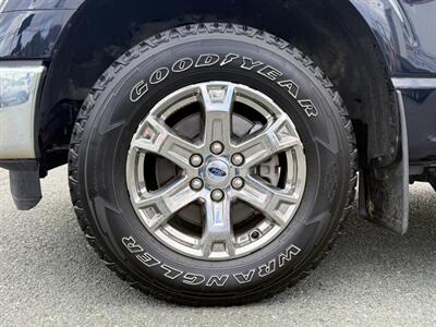 2021 Ford F-150 XLT   - Photo 11 - St John's, NL A1B 1C2