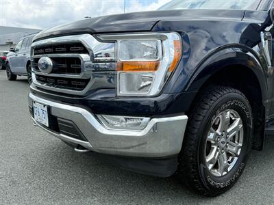 2021 Ford F-150 XLT   - Photo 10 - St John's, NL A1B 1C2