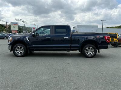 2021 Ford F-150 XLT   - Photo 8 - St John's, NL A1B 1C2