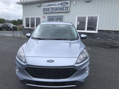 2022 Ford Escape SEL SUV