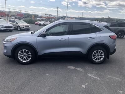 2022 Ford Escape Hybrid SE   - Photo 3 - Clarenville, NL A5A 2C4
