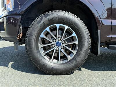 2020 Ford F-150 XLT   - Photo 11 - St John's, NL A1B 1C2