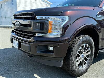 2020 Ford F-150 XLT   - Photo 10 - St John's, NL A1B 1C2