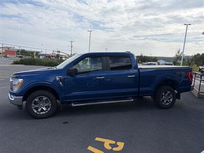 2023 Ford F-150 XLT   - Photo 3 - Clarenville, NL A5A 2C4