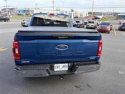 2023 Ford F-150 XLT   - Photo 13 - Clarenville, NL A5A 2C4