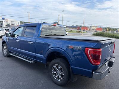 2023 Ford F-150 XLT   - Photo 4 - Clarenville, NL A5A 2C4