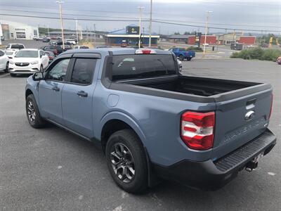 2024 Ford Maverick XLT   - Photo 3 - Clarenville, NL A5A 2C4