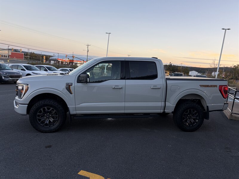 2023 Ford F-150 Tremor - Photo 3 - Clarenville, NL A5A 2C4