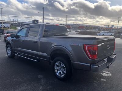 2023 Ford F-150 XLT - Photo 4 - Clarenville, NL A5A 2C4