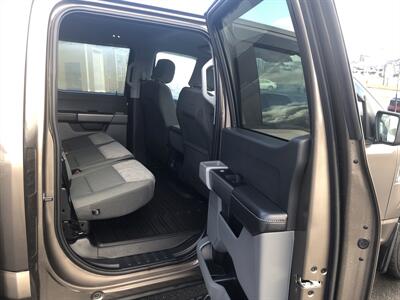 2023 Ford F-150 XLT - Photo 7 - Clarenville, NL A5A 2C4