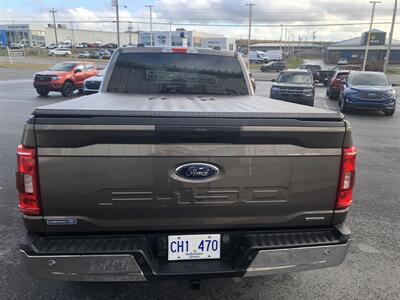 2023 Ford F-150 XLT - Photo 6 - Clarenville, NL A5A 2C4