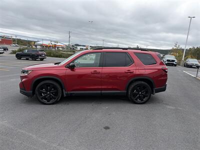 2025 Honda Pilot Black Edition - Photo 3 - Clarenville, NL A5A 2C4