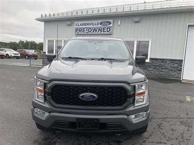 2021 Ford F-150 STX Truck