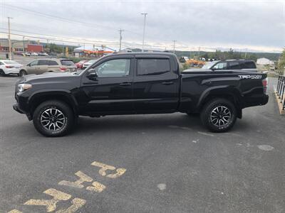 2023 Toyota Tacoma TRD Sport   - Photo 3 - Clarenville, NL A5A 2C4