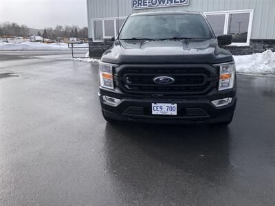 2021 Ford F-150 XLT Truck