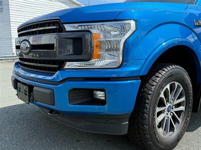 2019 Ford F-150 XLT   - Photo 10 - St John's, NL A1B 1C2