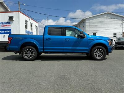 2019 Ford F-150 XLT   - Photo 4 - St John's, NL A1B 1C2