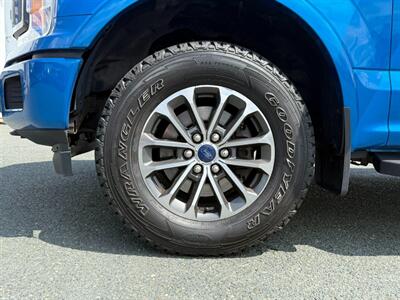 2019 Ford F-150 XLT   - Photo 11 - St John's, NL A1B 1C2