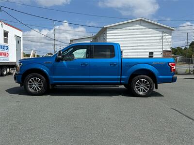 2019 Ford F-150 XLT   - Photo 8 - St John's, NL A1B 1C2