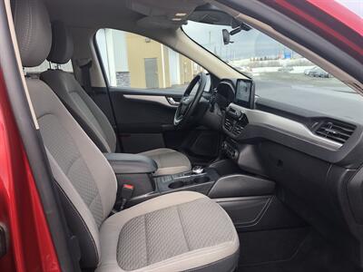 2020 Ford Escape SE   - Photo 8 - Clarenville, NL A5A 2C4