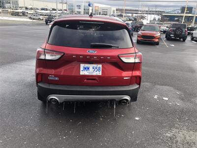 2020 Ford Escape SE   - Photo 4 - Clarenville, NL A5A 2C4