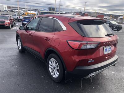 2020 Ford Escape SE   - Photo 3 - Clarenville, NL A5A 2C4