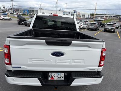 2023 Ford F-150 XLT - Photo 12 - Clarenville, NL A5A 2C4