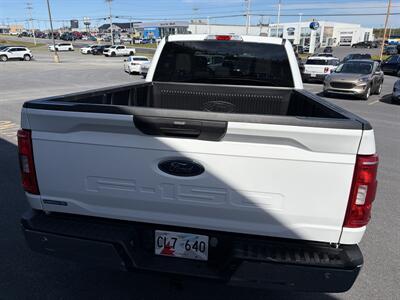 2023 Ford F-150 XLT - Photo 13 - Clarenville, NL A5A 2C4