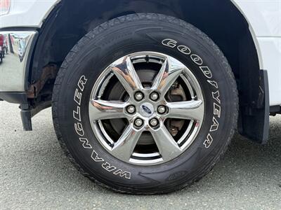 2018 Ford F-150 XLT   - Photo 11 - St John's, NL A1B 1C2
