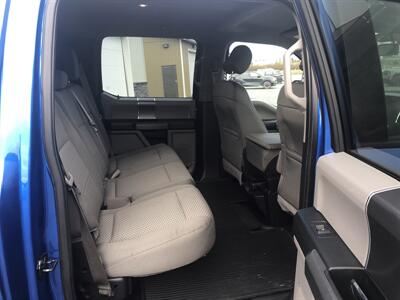 2016 Ford F-150 XLT   - Photo 13 - Clarenville, NL A5A 2C4