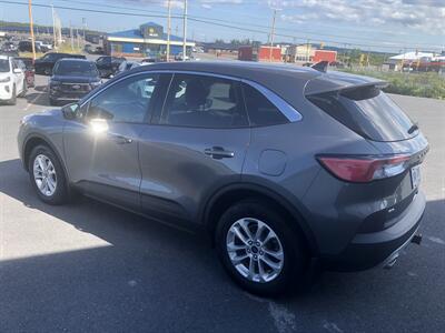 2021 Ford Escape SE   - Photo 3 - Clarenville, NL A5A 2C4