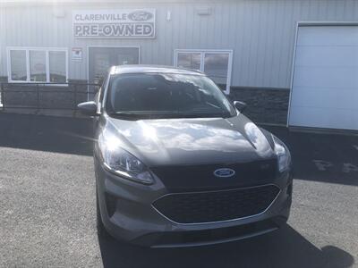 2021 Ford Escape SE SUV