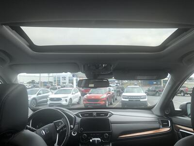 2022 Honda CR-V EX-L   - Photo 19 - Clarenville, NL A5A 2C4