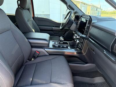 2023 Ford F-150 XLT   - Photo 5 - Clarenville, NL A5A 2C4