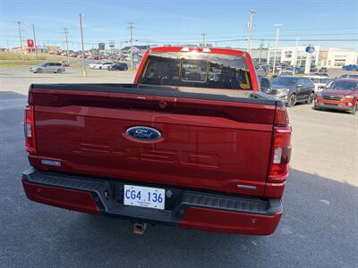 2023 Ford F-150 XLT   - Photo 13 - Clarenville, NL A5A 2C4