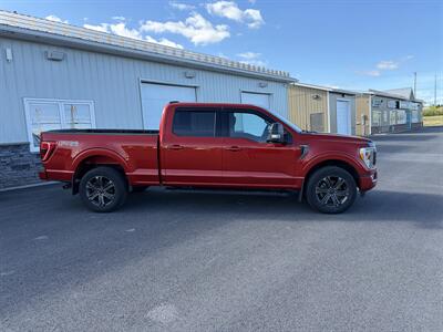 2023 Ford F-150 XLT   - Photo 2 - Clarenville, NL A5A 2C4