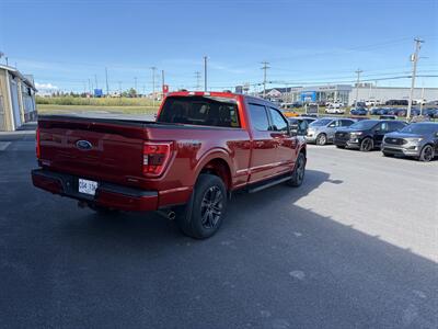 2023 Ford F-150 XLT   - Photo 3 - Clarenville, NL A5A 2C4
