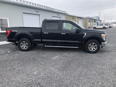 2022 Ford F-150 XLT  XTR - Photo 3 - Clarenville, NL A5A 2C4