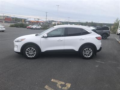2021 Ford Escape SE   - Photo 2 - Clarenville, NL A5A 2C4