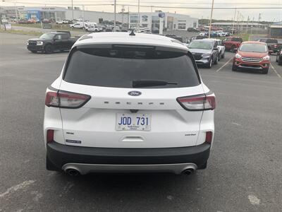 2021 Ford Escape SE   - Photo 13 - Clarenville, NL A5A 2C4