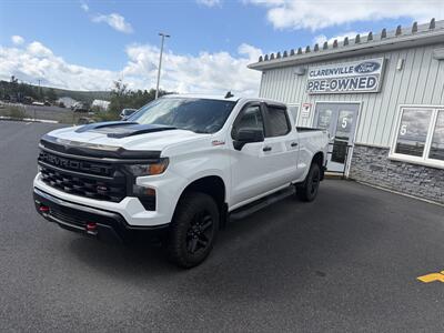 2022 Chevrolet Silverado 1500 Custom Trail Boss - Photo 2 - Clarenville, NL A5A 2C4