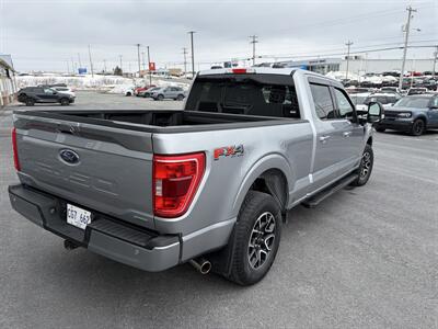 2023 Ford F-150 XLT   - Photo 4 - Clarenville, NL A5A 2C4