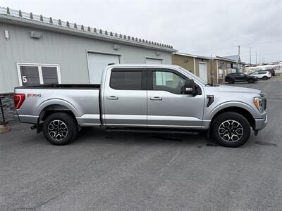 2023 Ford F-150 XLT   - Photo 3 - Clarenville, NL A5A 2C4
