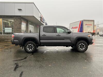 2023 Toyota Tacoma TRD Off-Road   - Photo 4 - St John's, NL A1B 1C2