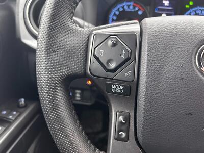 2023 Toyota Tacoma TRD Off-Road   - Photo 25 - St John's, NL A1B 1C2